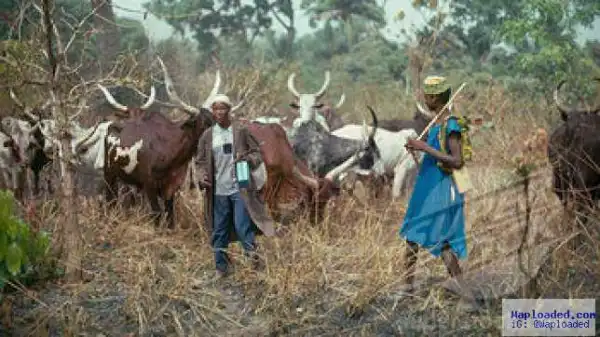 Fulani Herdsmen Release Abducted Enugu Auditor After N700,000 Ransom